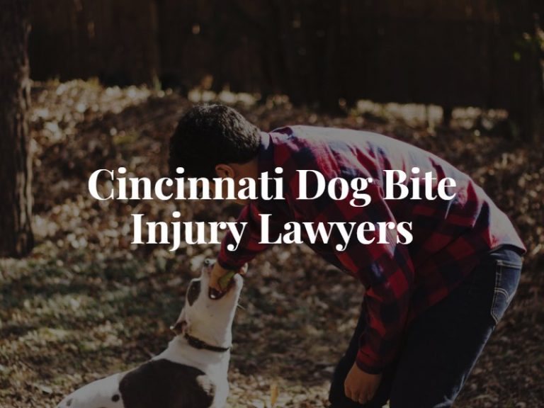 Cincinnati Dog Bite Lawyer | Free Consultation