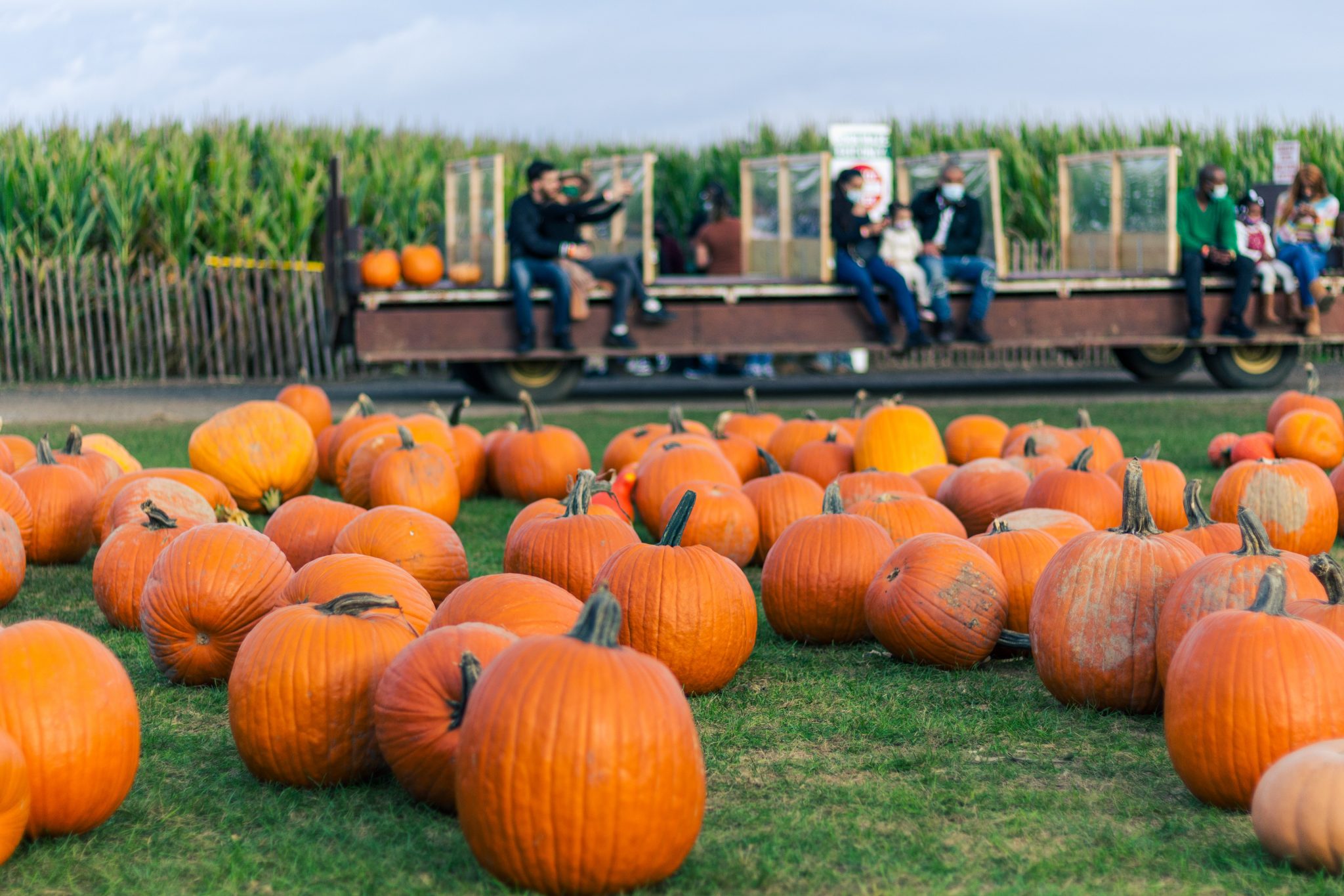 Pumpkin Patches In Ohio Near Me