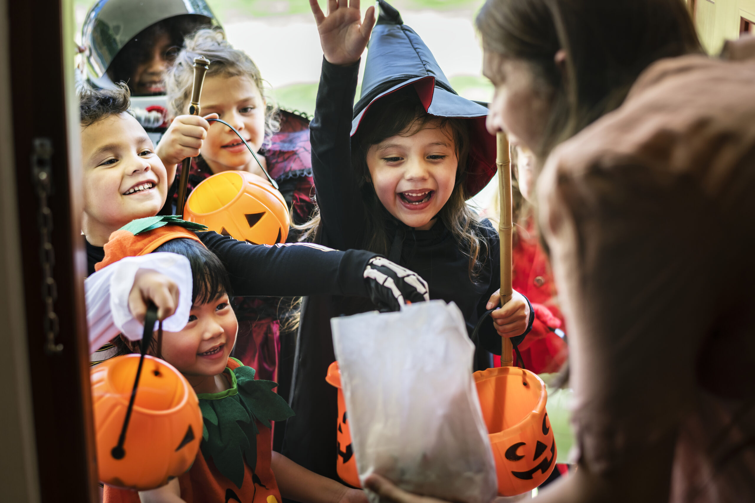 trick or treat halloween